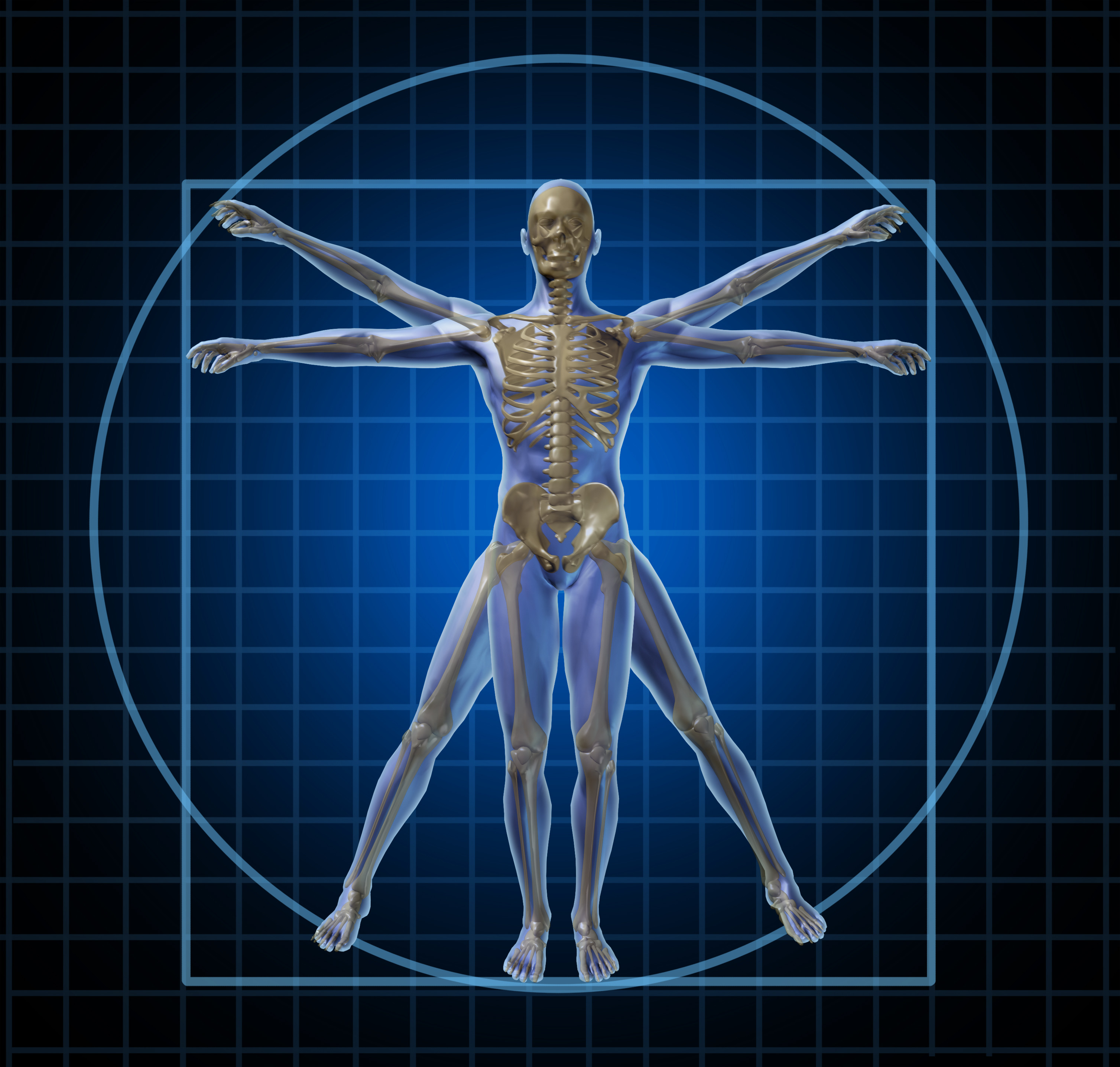 VTCT Level 3 - Anatomy & Physiology Course | www ...